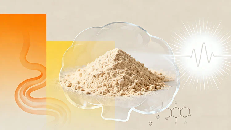 Lion's-Mane-Extract-Powder.jpg Lion's-Mane-Extract-Powder.jpg