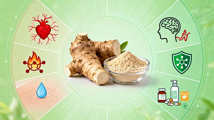 Pueraria-Flavonid-benefits.jpg