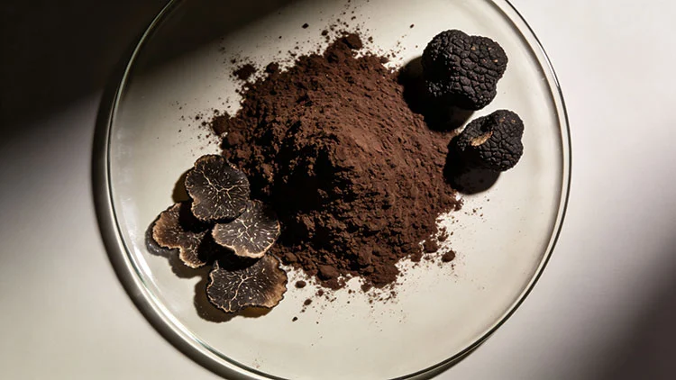 Black-Truffle-Extract.jpg Black-Truffle-Extract.jpg
