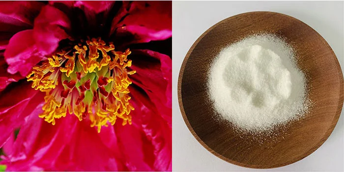 Tricoumarin Tricoumarin