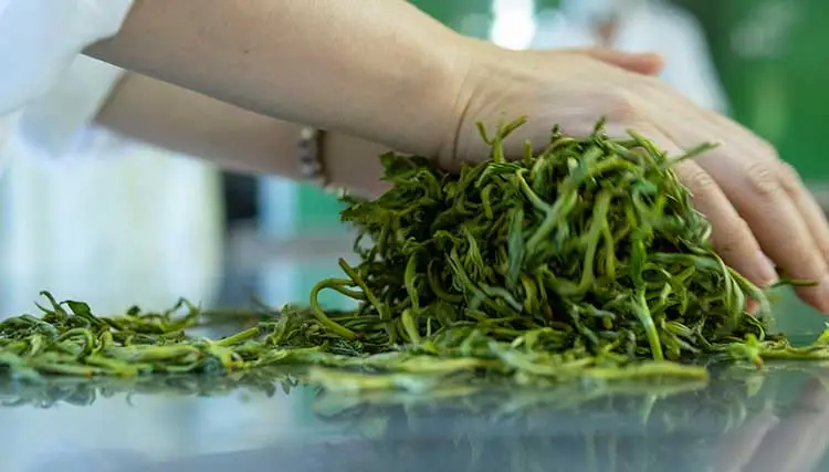 green-tea