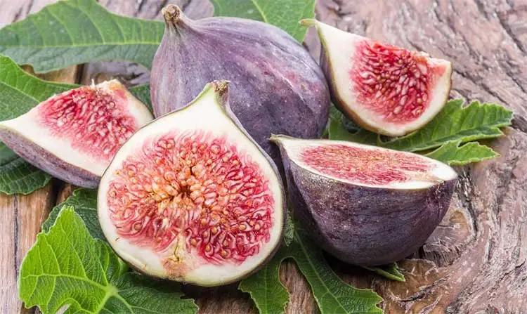 Fig Fig