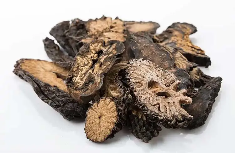 Cistanche-Tubulosa Cistanche-Tubulosa