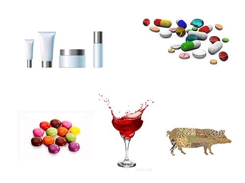 application application