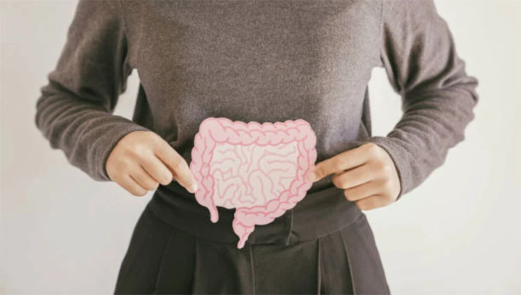 Digestive-Health Digestive-Health