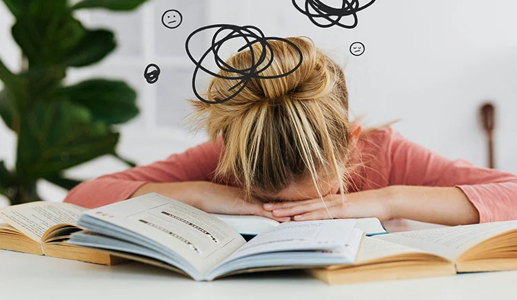 Brain-Function Brain-Function