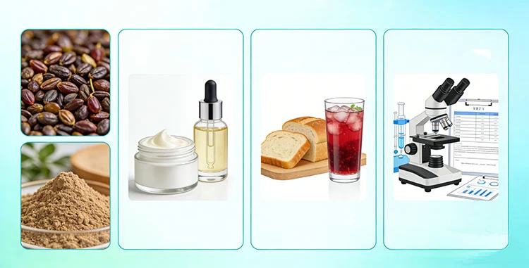 Functional-Uses-of-Grape-Seed-Extract