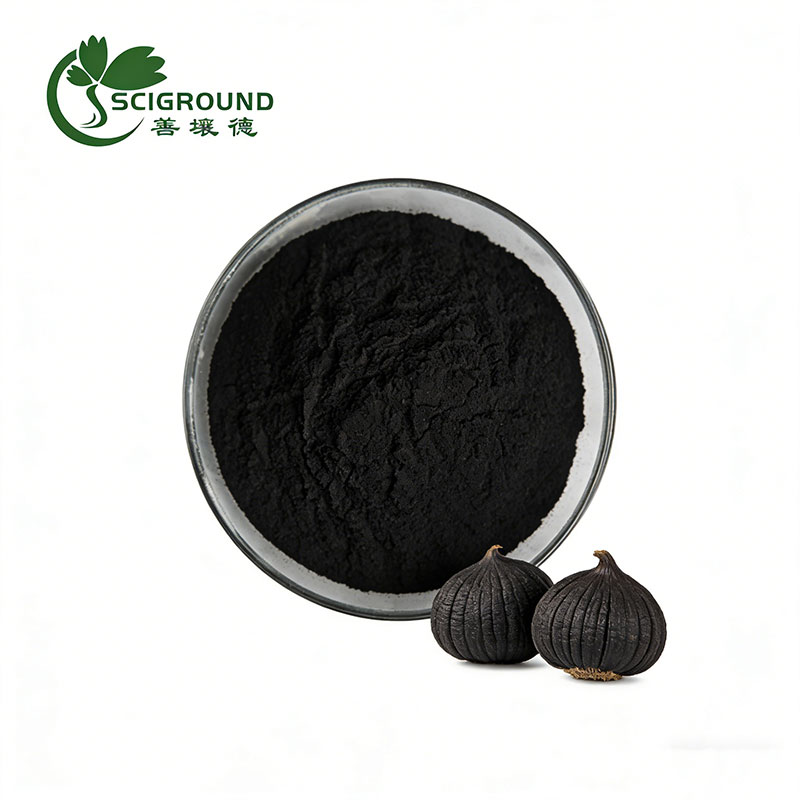 Black Garlic Extract Powder