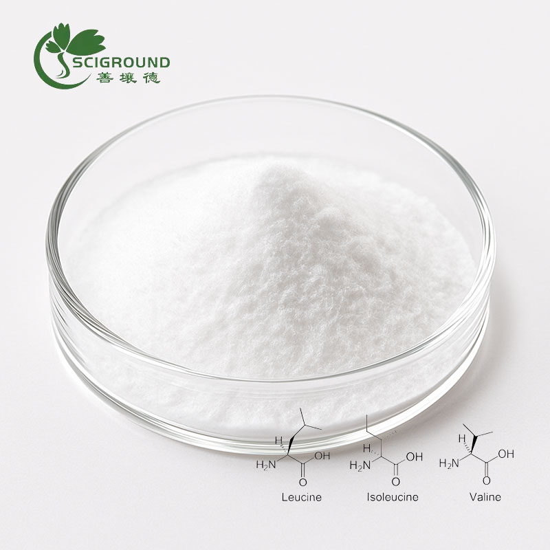 BCAA Amino Acid Powder